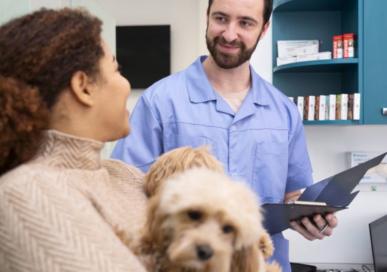 Pourquoi souscrire une assurance pour vos animaux de compagnie ?